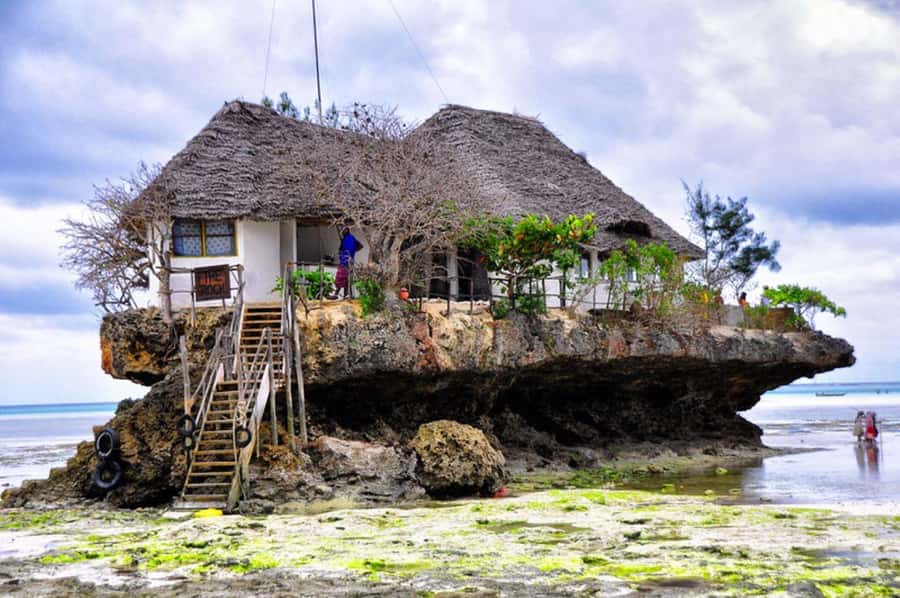 Zanzibar: Mnemba Island, Prison Island and Salaam Cave Tour - Starting with private hotel pickup