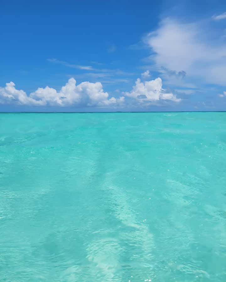 Zanzibar: Mnemba Island Snorkeling and Dolphin Tour - Who should book this experience