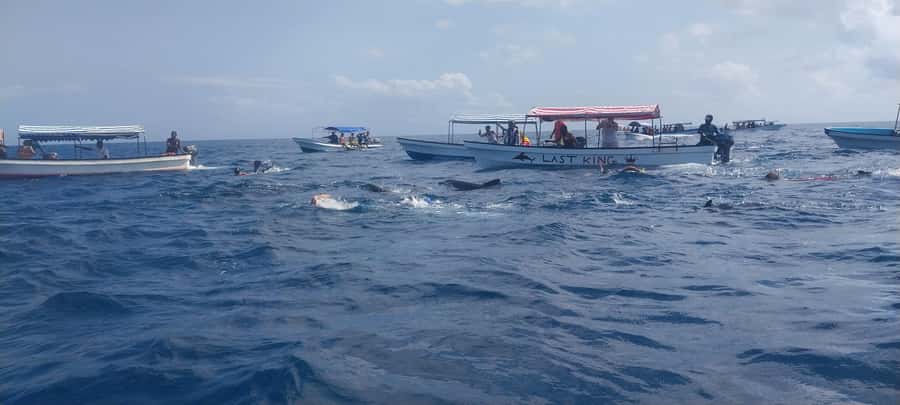 Zanzibar: Mnemba Island Snorkeling and Dolphin Tour - The Mnemba sandbank and its changing timetable