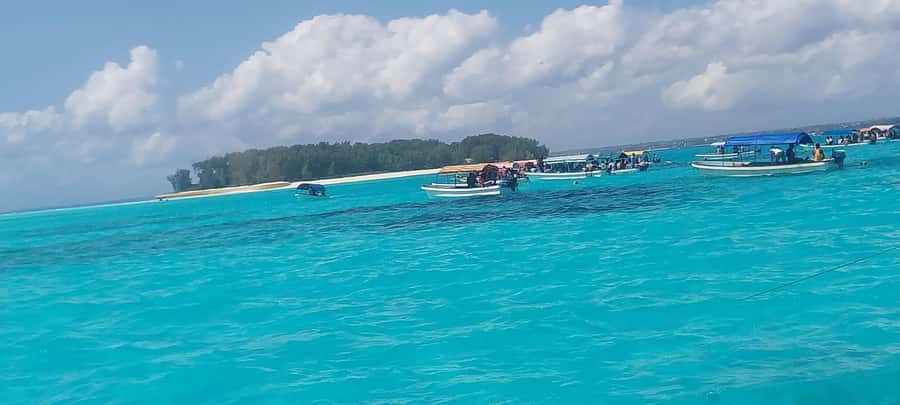 Zanzibar: Mnemba Island Snorkeling and Dolphin Tour - Seafood lunch beside the beach