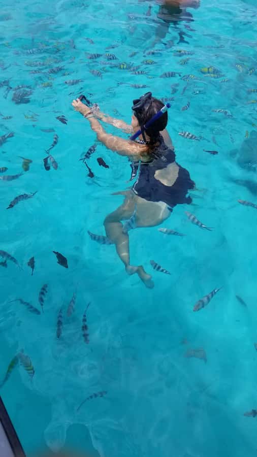 Zanzibar: Mnemba Island Snorkeling and Dolphin Tour - The return boat ride and hotel transfer