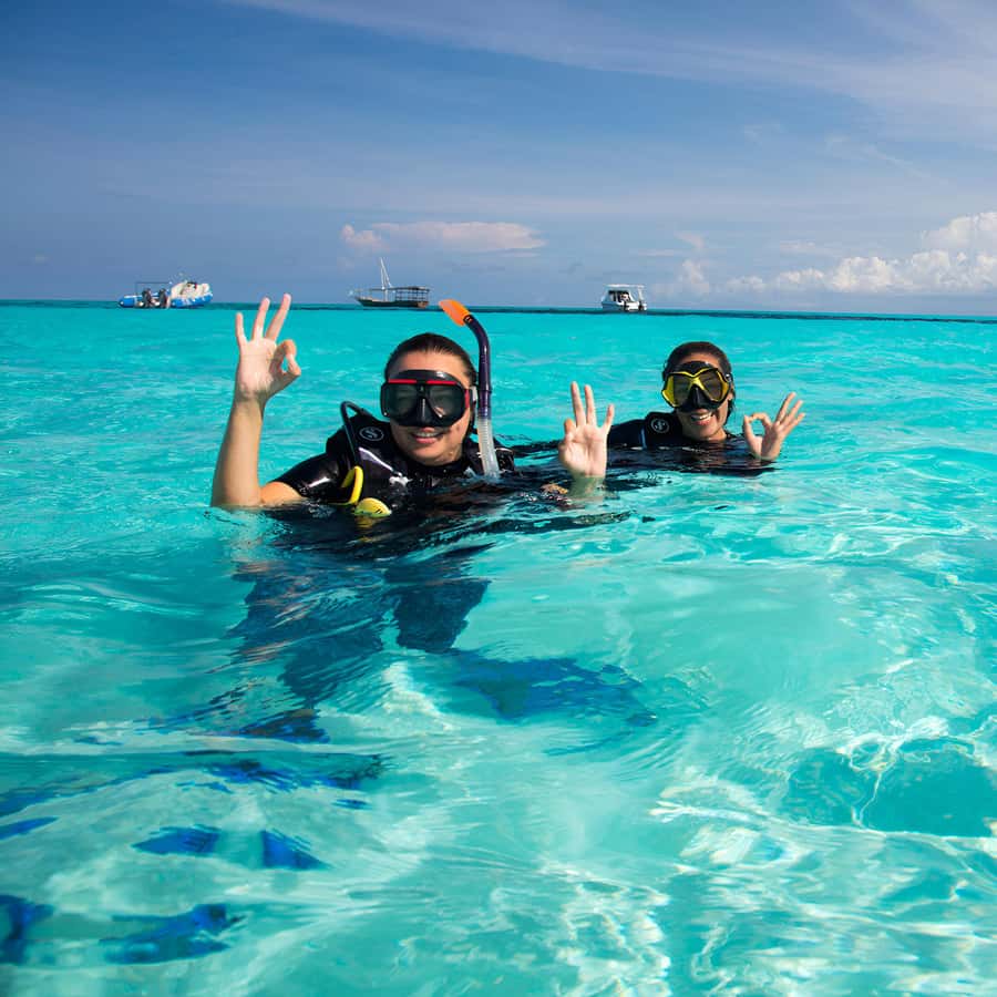 Zanzibar: Mnemba Island Snorkeling and Dolphin Tour - What the $40 price really includes