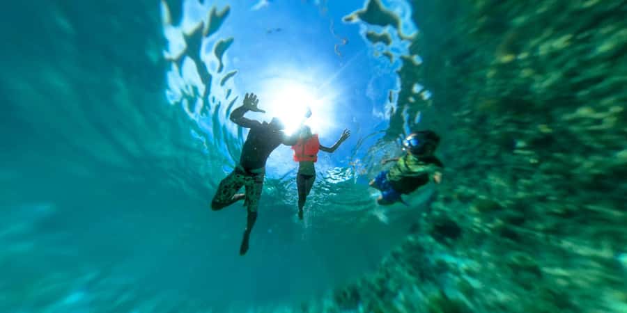 Zanzibar: Mnemba island Snorkeling & Boat Tour with Lunch - Practical details that affect the experience