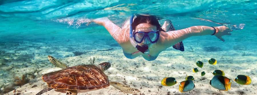 Zanzibar Mnemba island snorkling & swim with turtles Tour - Key points to know before you book