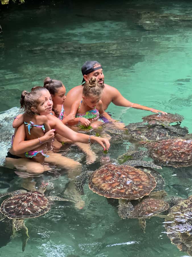 Zanzibar Mnemba island snorkling & swim with turtles Tour - Why the $60 price can make sense