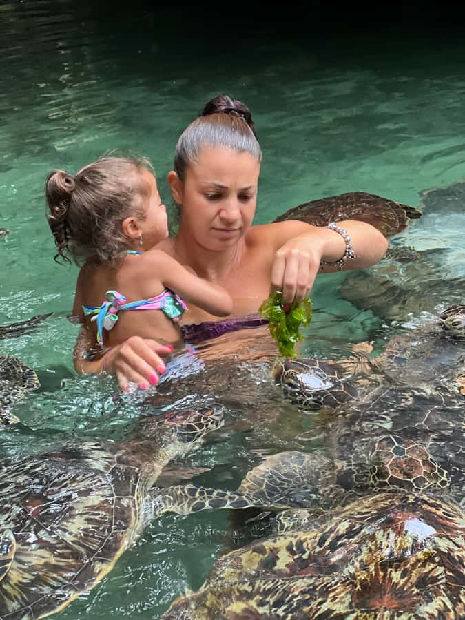 Zanzibar Mnemba island snorkling & swim with turtles Tour - Pickup, timing, and the practical side of the day