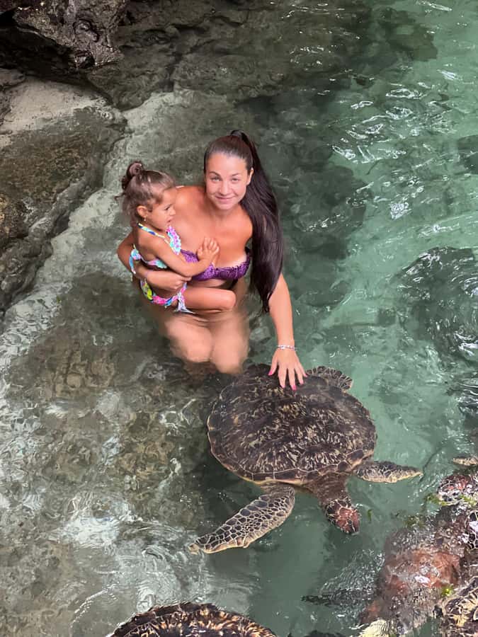 Zanzibar Mnemba island snorkling & swim with turtles Tour - Should you book the Mnemba and turtle tour?