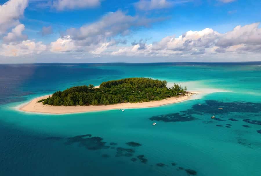 Zanzibar Mnemba island snorkling & swim with turtles Tour - What the three-hour Mnemba stop feels like