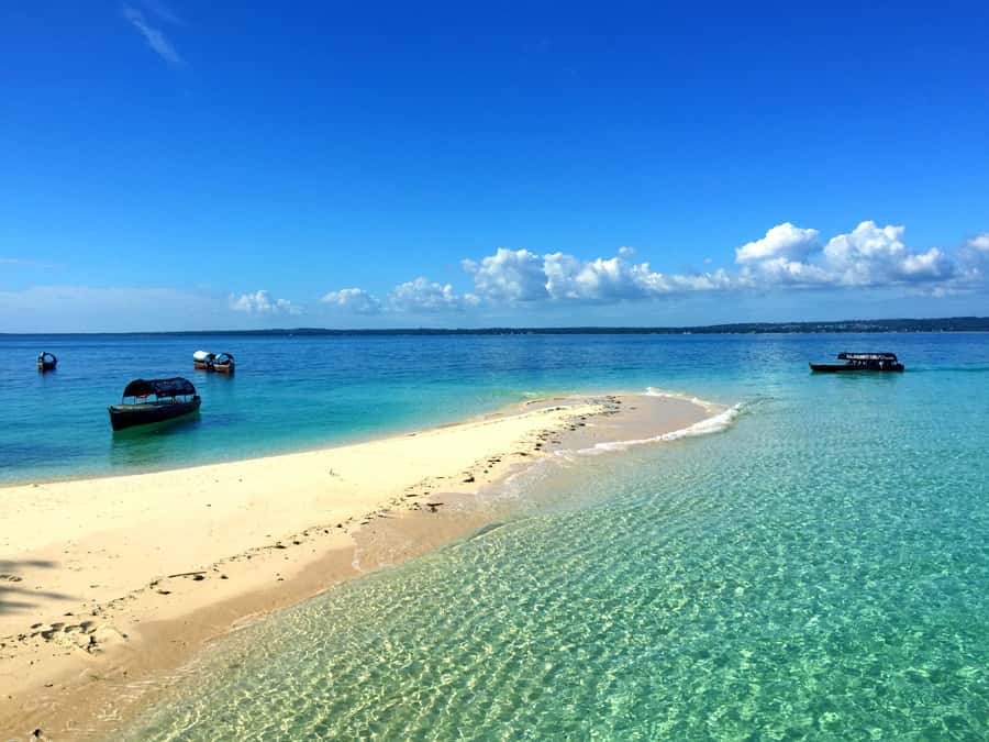 Zanzibar: Nakupenda Sandbank and Prison Island Tour & Lunch - Key points at a glance