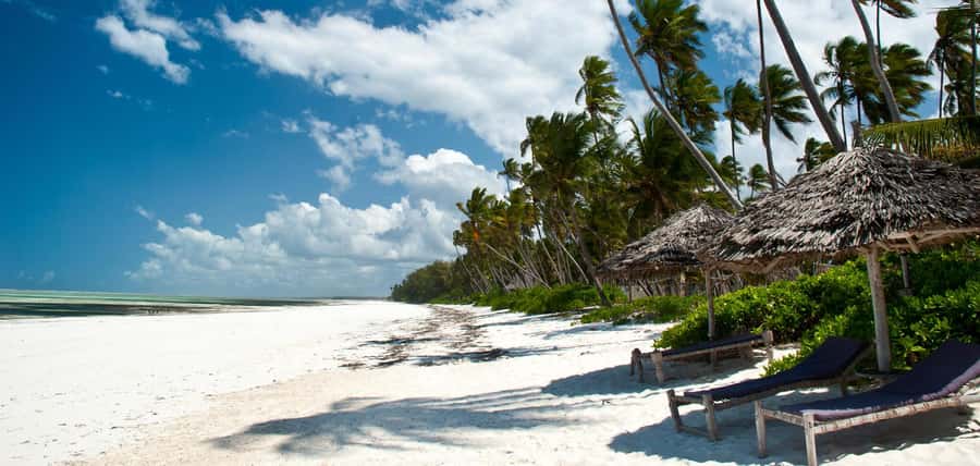Zanzibar: Nakupenda Sandbank and Prison Island Tour & Lunch - Should you book the Prison Island and Nakupenda tour?
