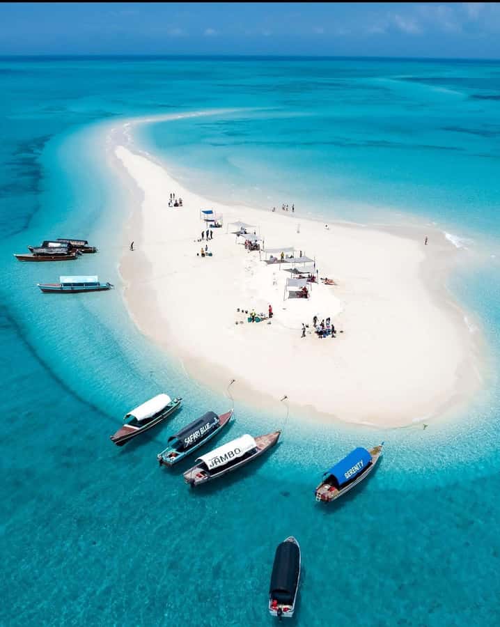 Zanzibar: Nakupenda Sandbank & Prison Island Trip with Lunch - Key points to know before booking