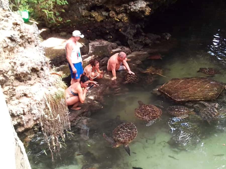 Zanzibar: North Coast and Turtle Sanctuary Tour - Key points to know before booking