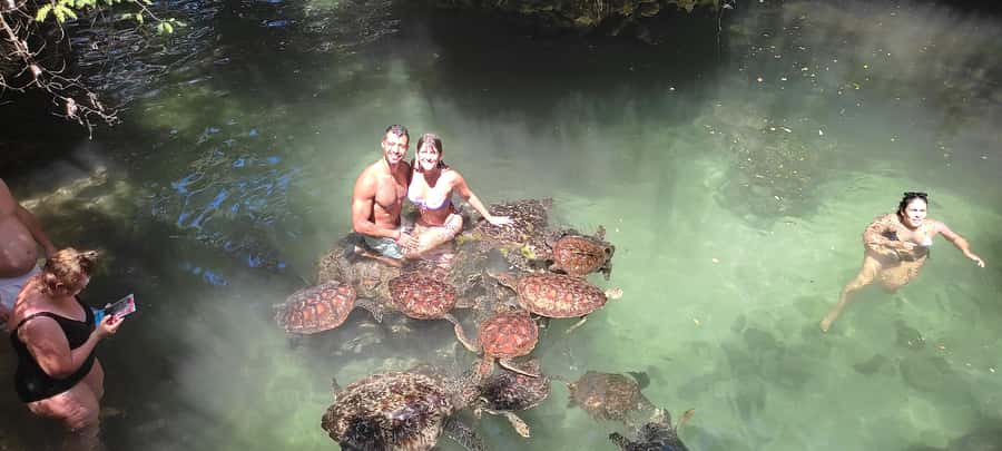 Zanzibar: North Coast and Turtle Sanctuary Tour - Why the north coast works so well for a day trip