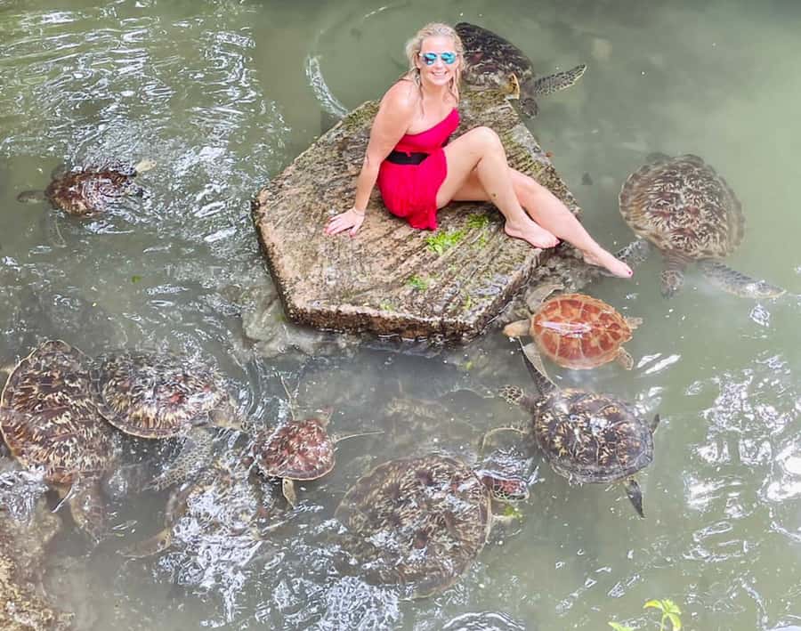Zanzibar: North Coast and Turtle Sanctuary Tour - The turtle sanctuary and natural aquarium