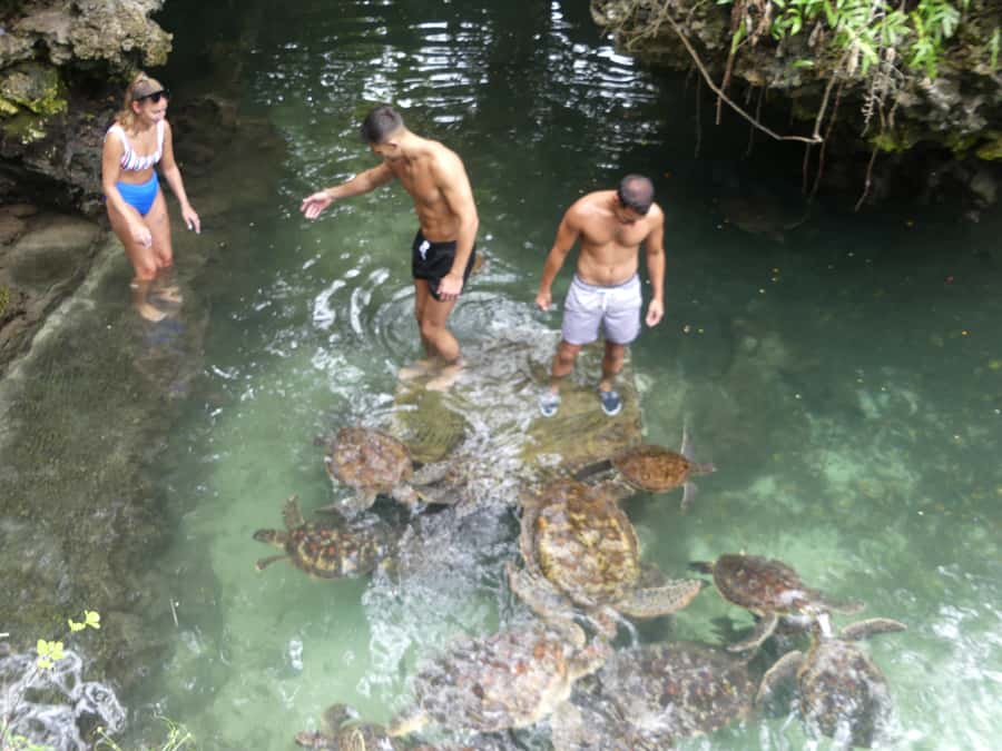 Zanzibar: North Coast and Turtle Sanctuary Tour - Is $112 good value for six hours?