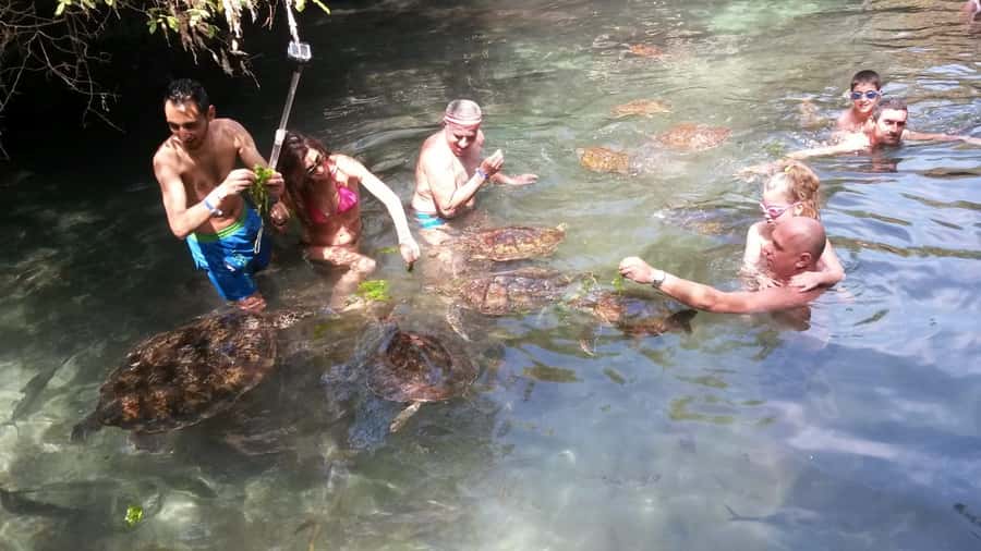 Zanzibar: North Coast and Turtle Sanctuary Tour - Who should book this Zanzibar tour?