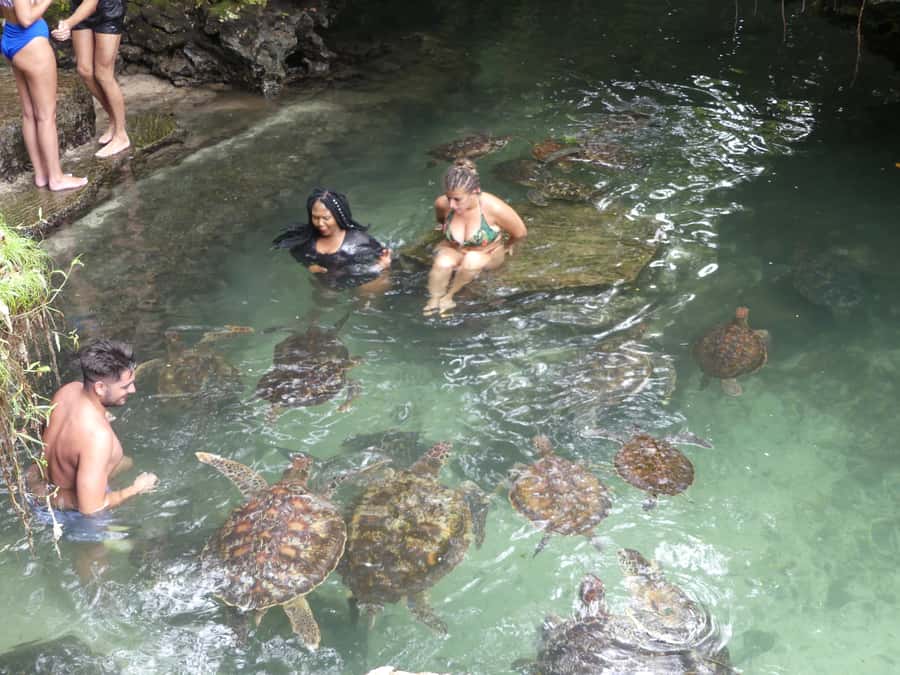 Zanzibar: North Coast and Turtle Sanctuary Tour - Should you book it?
