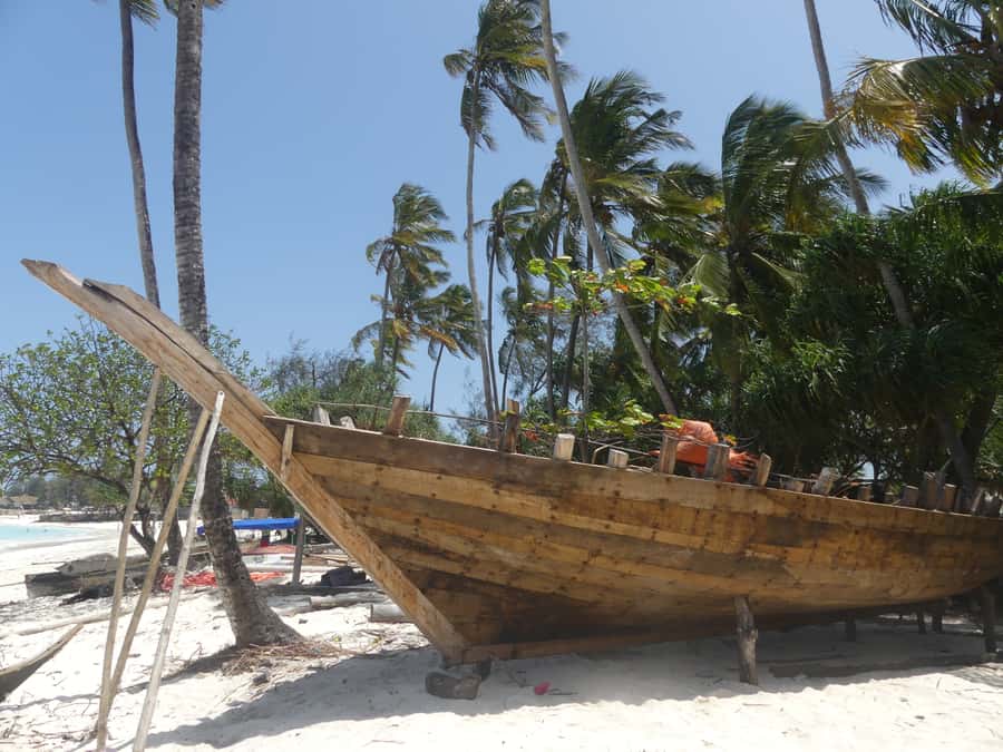 Zanzibar: North Coast and Turtle Sanctuary Tour - Watching a dhow take shape in Nungwi
