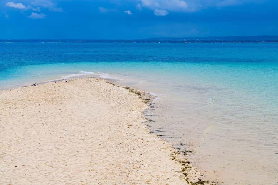 Zanzibar; Prison Island, Nakupenda, StoneTown Tour with BBQ - Why this Zanzibar combination works