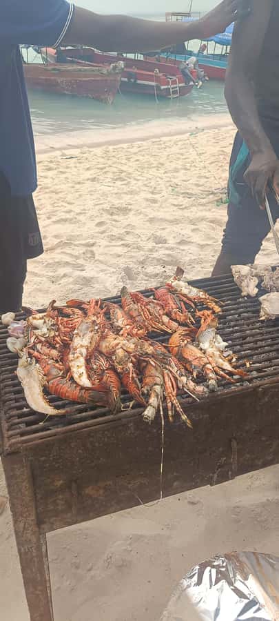 Zanzibar; Prison Island, Nakupenda, StoneTown Tour with BBQ - Transport, timing, and the long return