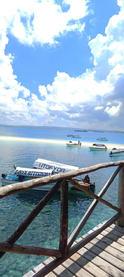 Zanzibar; Prison Island, Nakupenda, StoneTown Tour with BBQ - Guides who shape the day