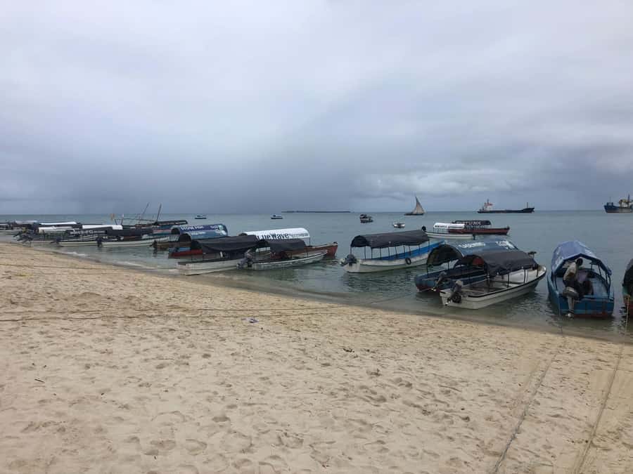 Zanzibar: Prison Island, Stone Town, & Spice Farm Tour - Walking through Stone Town’s old quarters