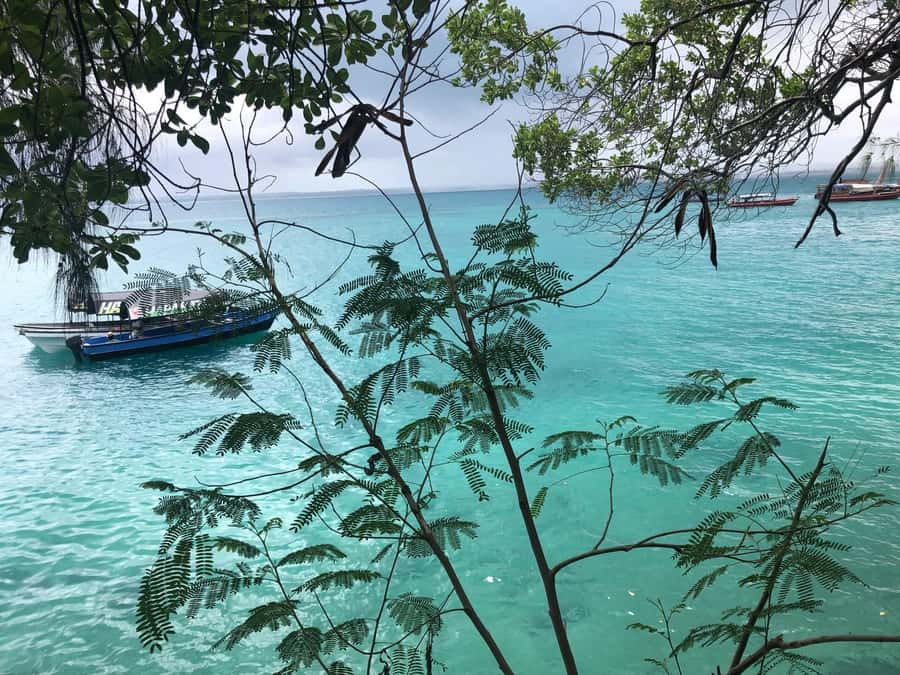 Zanzibar: Prison Island, Stone Town, & Spice Farm Tour - Lunch, late in the afternoon