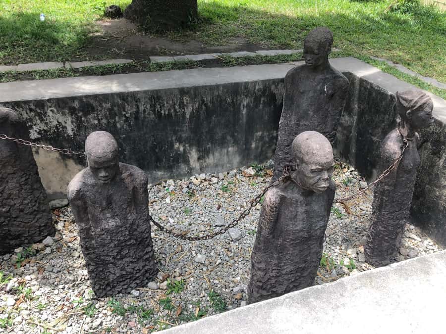Zanzibar: Prison Island, Stone Town, & Spice Farm Tour - Final call: a strong first-day choice