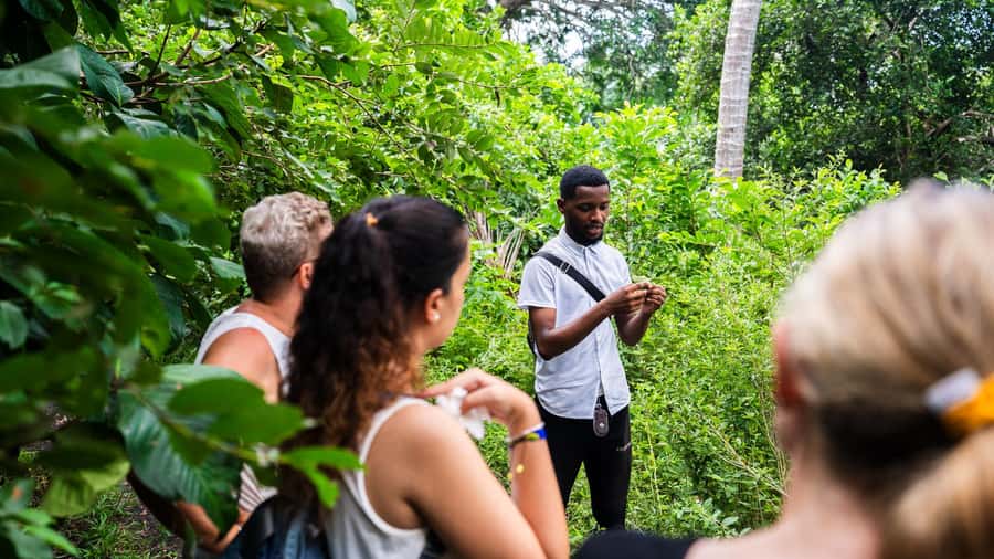 Zanzibar: Prison Island, Tortoise, Jozani Forest Guided Tour - The tortoise enclosure is memorable, but not simple