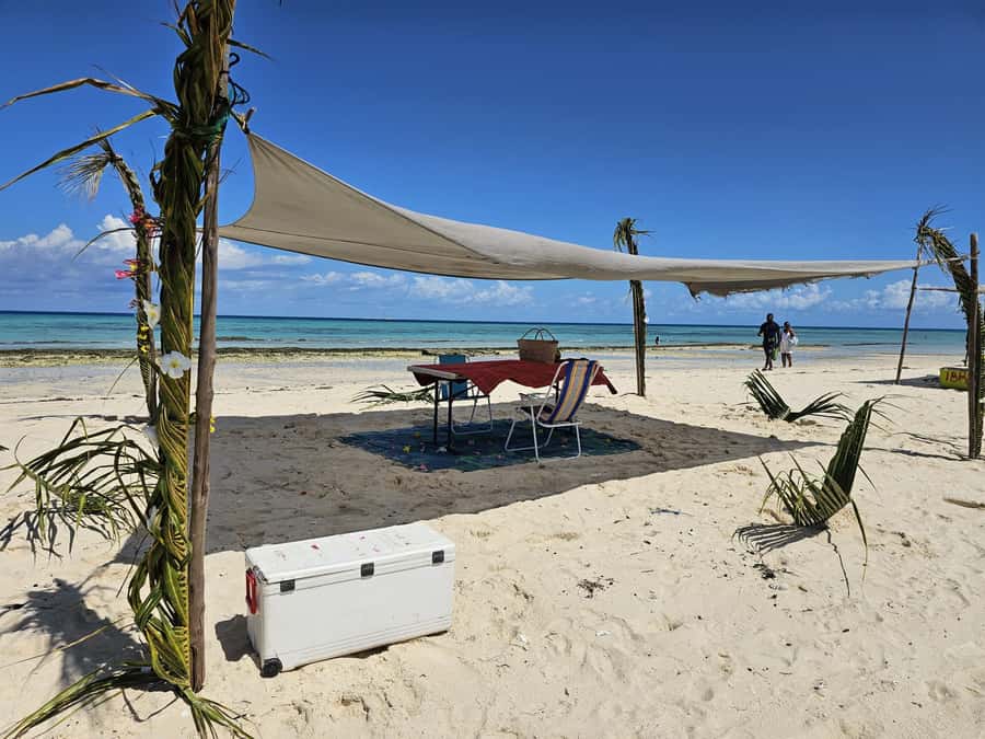 Zanzibar: Prison Island Tour with Lunch on the Sandbank - Prison Island begins with an unusual story