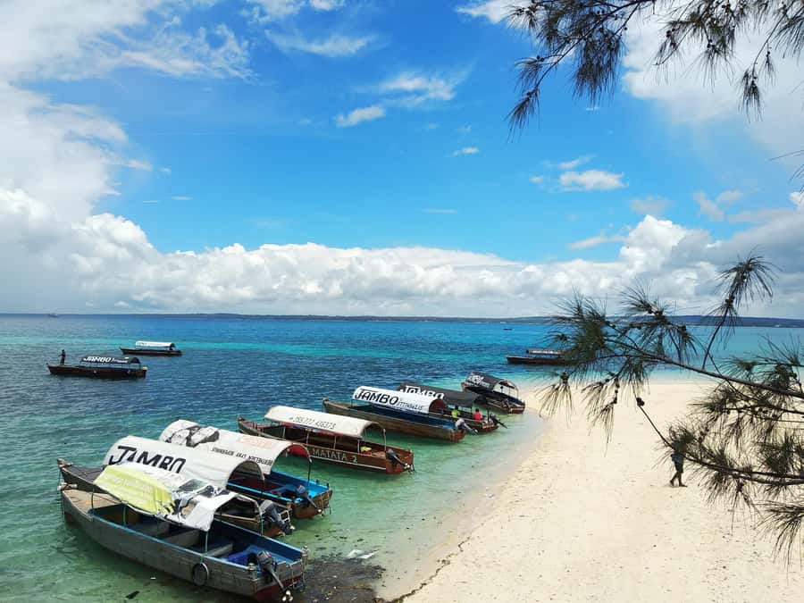 Zanzibar: Prison Island Tour with Lunch on the Sandbank - Giant tortoises are the island’s main attraction