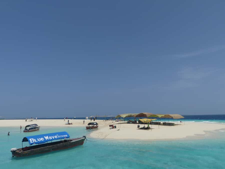 Zanzibar: Prison Island Tour with Lunch on the Sandbank - The meeting point deserves extra care