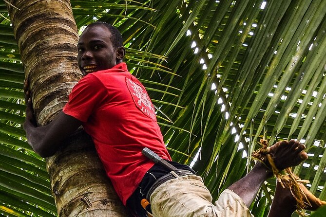 Zanzibar Private Spice Farm and Stonetown Tour(Include Lunch) - What the private format really gives you