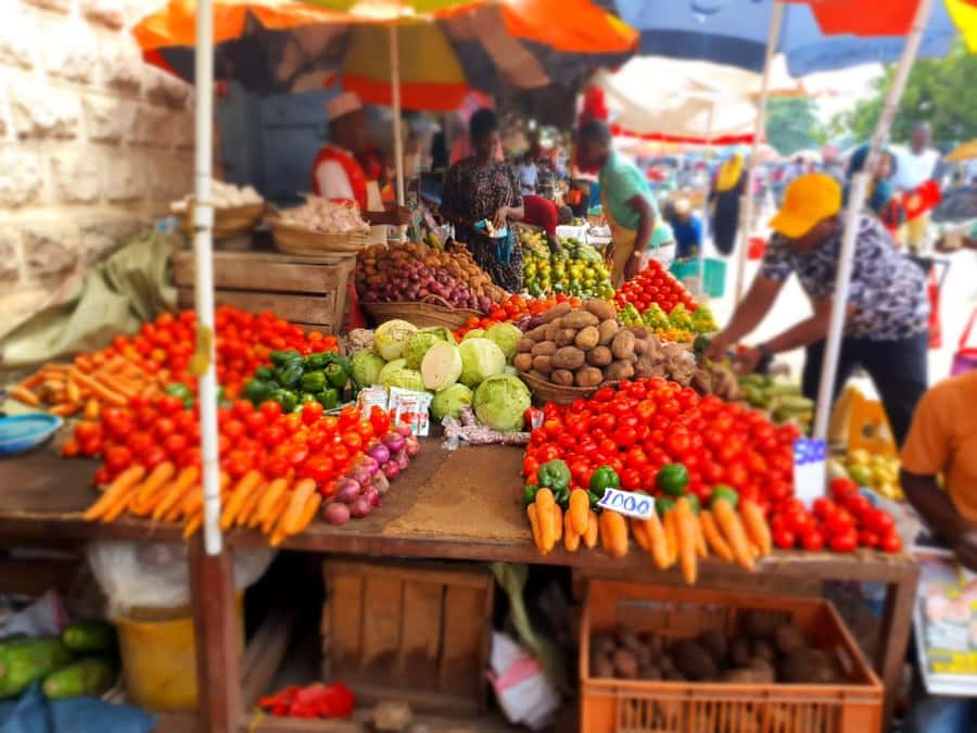 Zanzibar: Private walking tour in stone town - Who should book this Stone Town walk