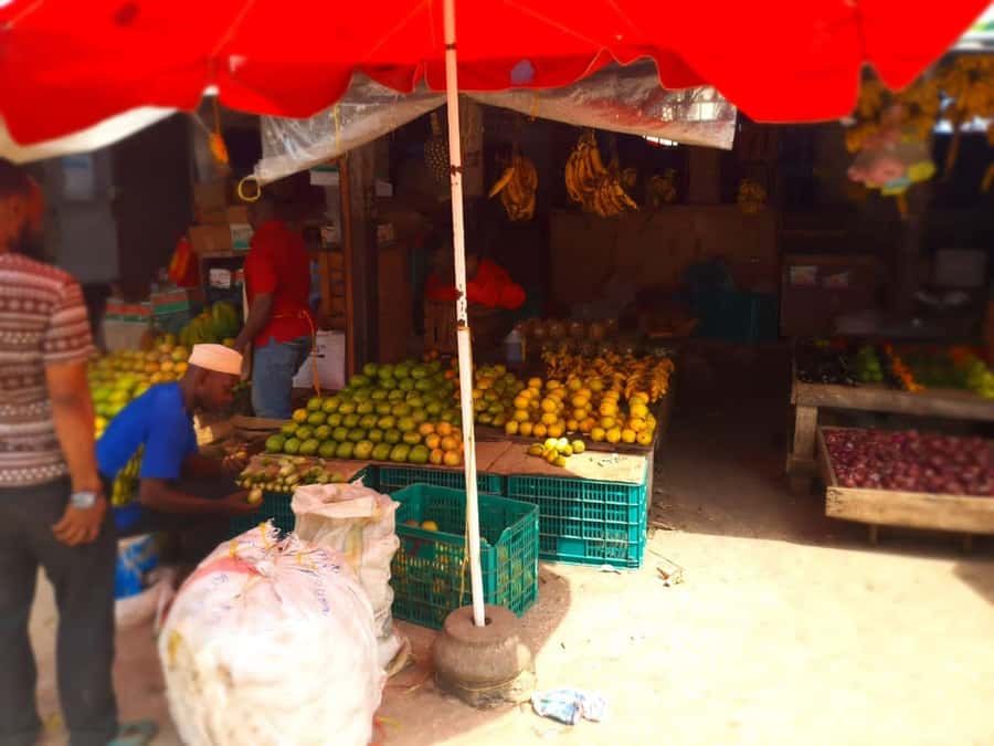 Zanzibar: Private walking tour in stone town - Stone Town makes sense when you walk it