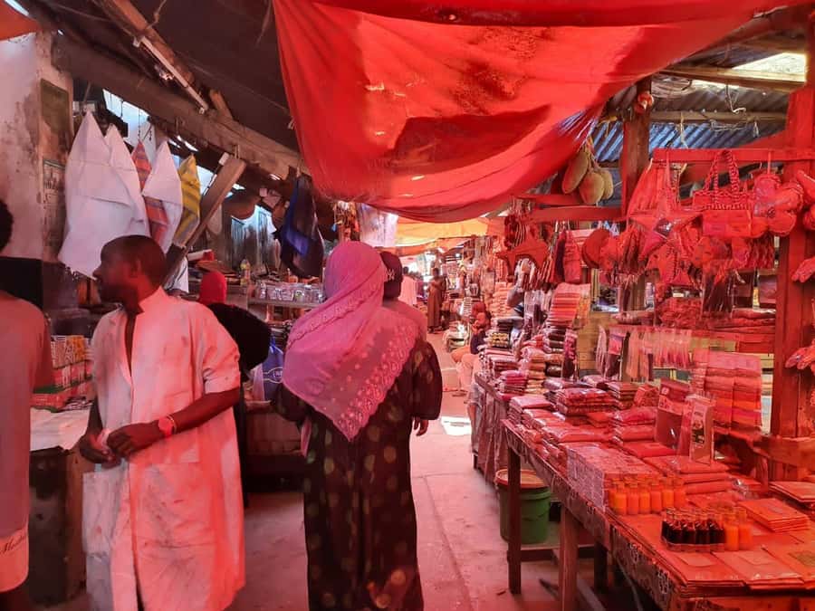 Zanzibar: Private walking tour in stone town - Price, group size, and what you receive for $44