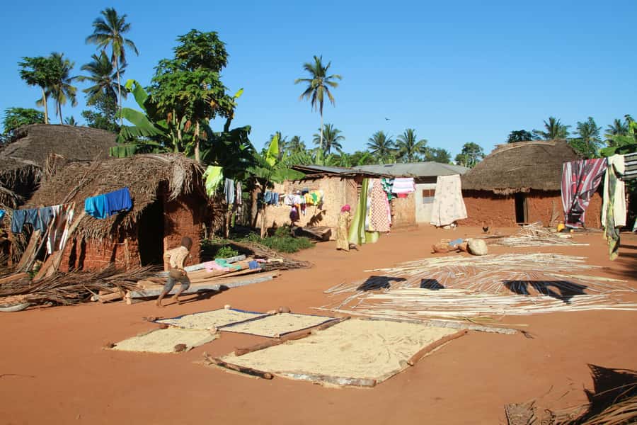 Zanzibar: Quad Bike Adventure Tour to a Local Village - Cinnamon, cloves, and Zanzibar’s spice country
