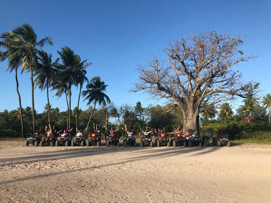 Zanzibar: Quad Bike Adventure Tour to a Local Village - Rice fields and a short lesson about island life