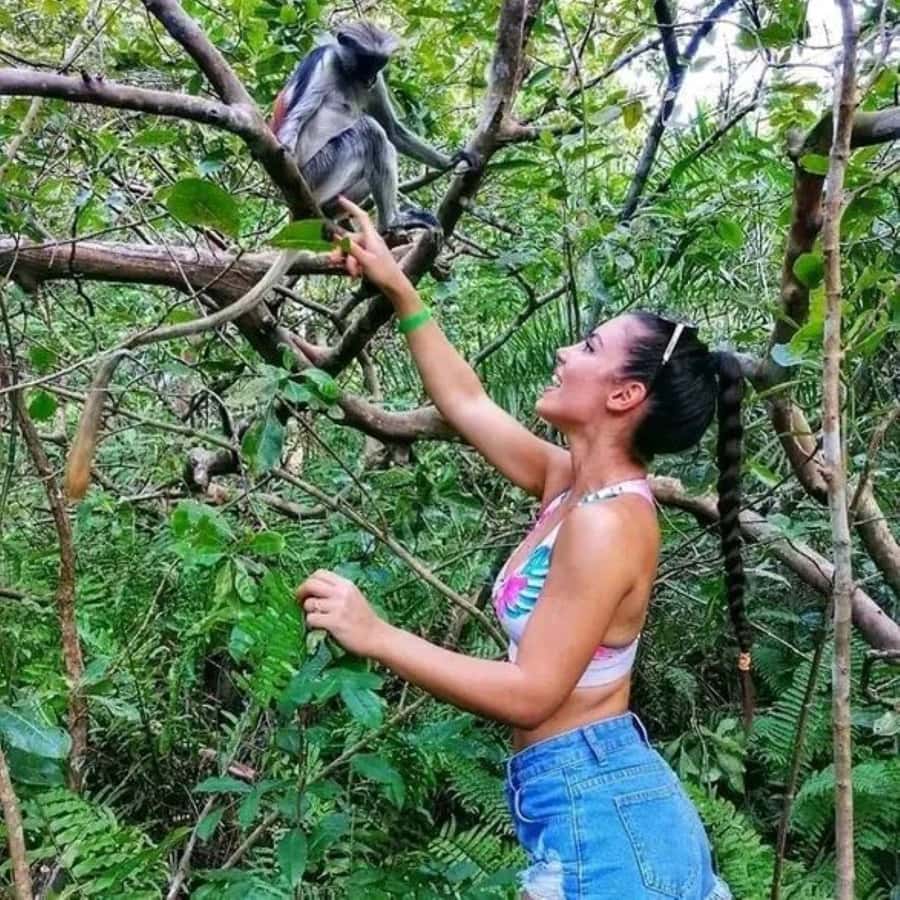 Zanzibar: Red Colobus Monkeys in Jozani Forest Guided Tour - Meeting Zanzibar’s red colobus monkeys