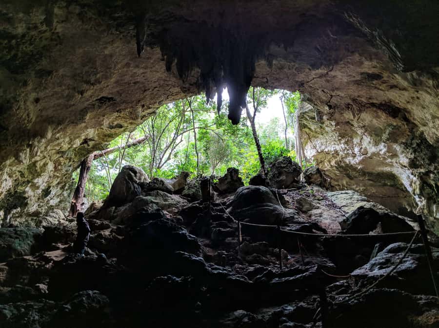 Zanzibar: Rock Restaurant and Cave Tour Visit - Traditional cooking in Paje