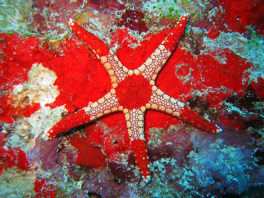 Zanzibar, Salaam Cave Tour, The Rock, Kuza Cave, Paje Beach - Why the private format matters