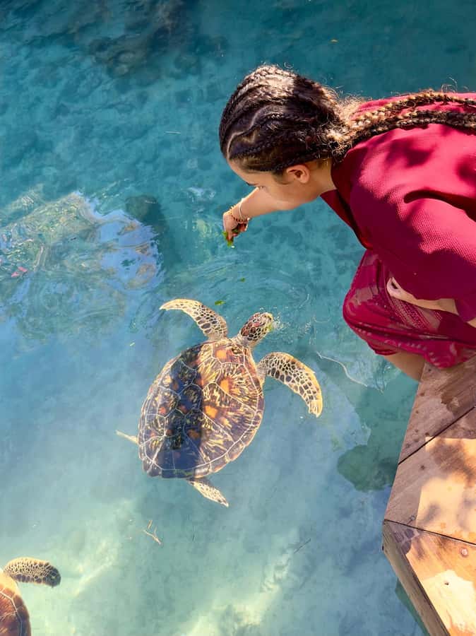Zanzibar: Sea Turtle Swim at Kizimkazi Salaam Cave Tour - Key things to know before you book