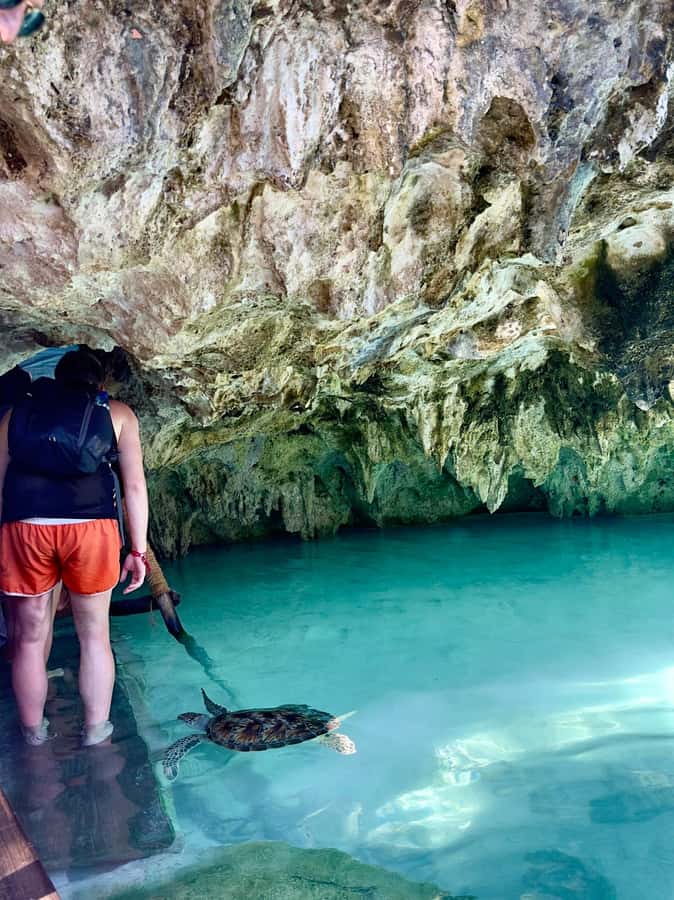 Zanzibar: Sea Turtle Swim at Kizimkazi Salaam Cave Tour - How long the visit really takes