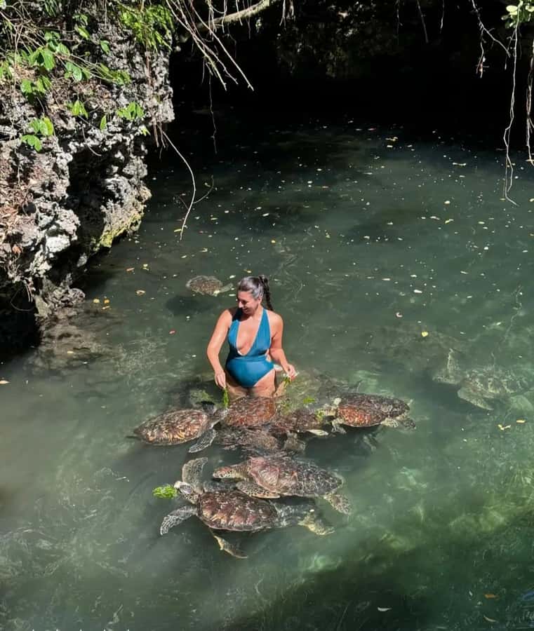 ZANZIBAR: Sea Turtle Swimming & Feeding Experience in NUNGWI - Why the conservation talk adds value