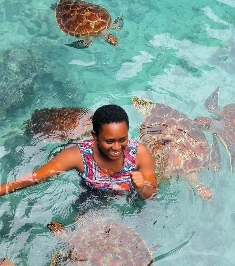 ZANZIBAR: Sea Turtle Swimming & Feeding Experience in NUNGWI - Why an early start may be the smart choice