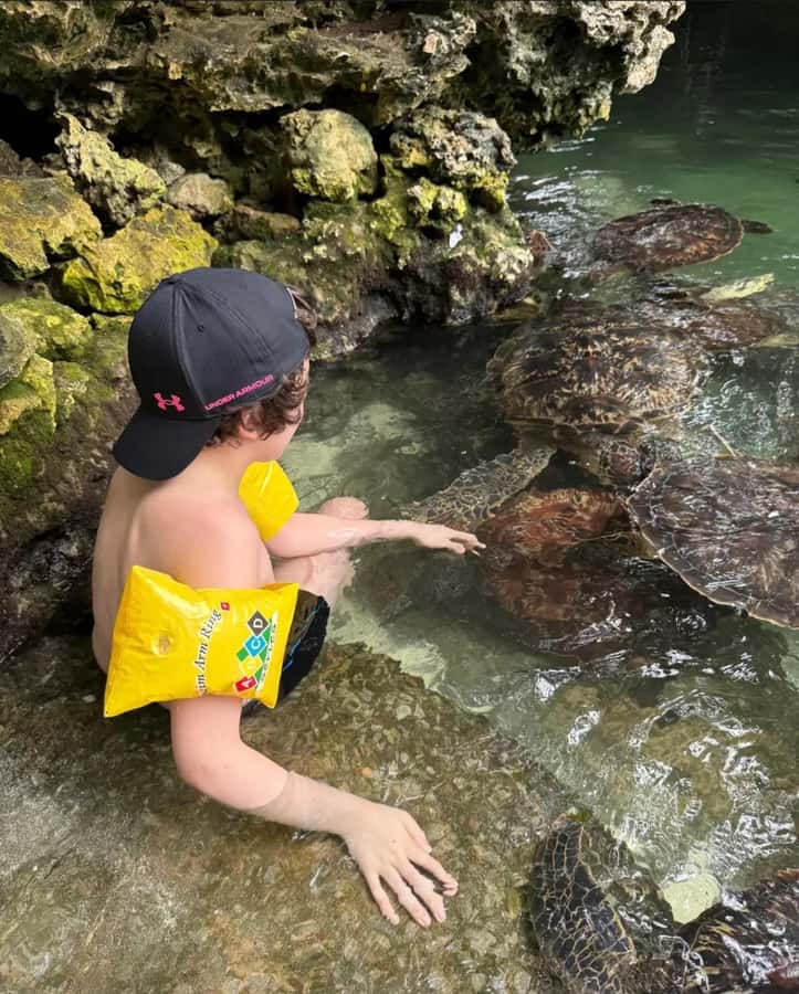 ZANZIBAR: Sea Turtle Swimming & Feeding Experience in NUNGWI - What is included for $65