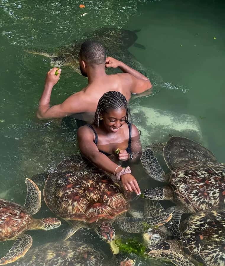 ZANZIBAR: Sea Turtle Swimming & Feeding Experience in NUNGWI - Who will enjoy this most