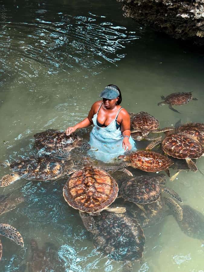 ZANZIBAR: Sea Turtle Swimming & Feeding Experience in NUNGWI - Practical preparation for the lagoon