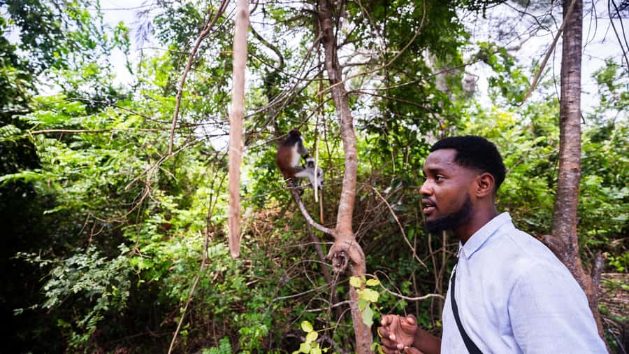 Zanzibar : Secret Beach, Kuza Cave and Jozani with transfer - Key points to know before booking
