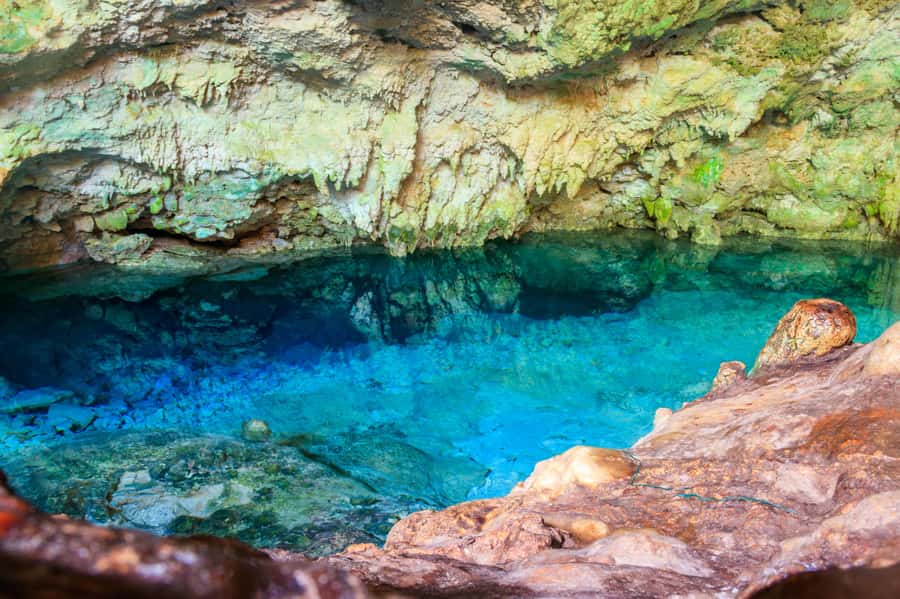 Zanzibar : Secret Beach, Kuza Cave and Jozani with transfer - Three Zanzibar sights, one fast southern loop